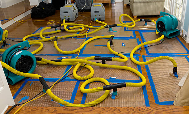 Professional Flood Damage Restoration technician working in Eldridge, AL
